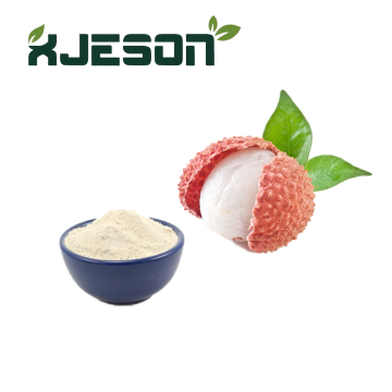 Poudre de litchi séchée par pulvérisation de qualité alimentaire